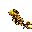the golden outfit display