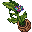 megasylvan plant
