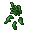 fresh hydra herbs